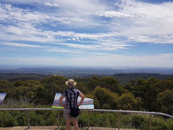Mount Lofty Summit Road 5