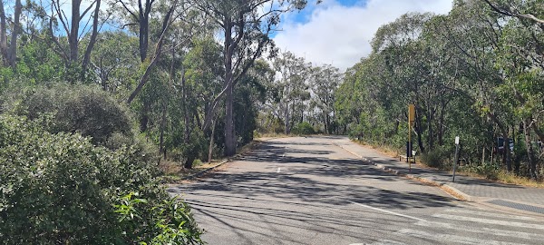 Mount Lofty Summit Road 4