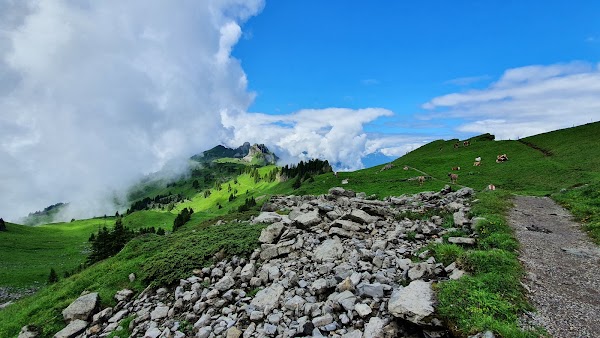 Schynige Platte railway 5