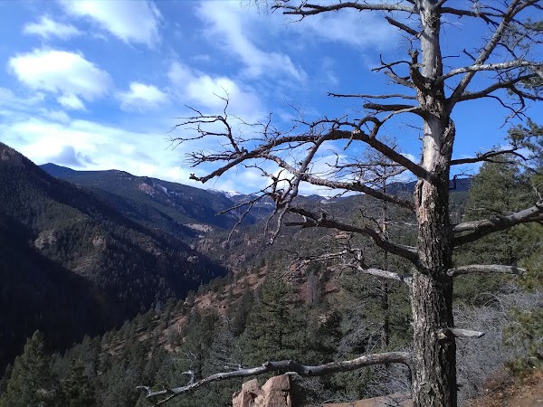 Colorado 42