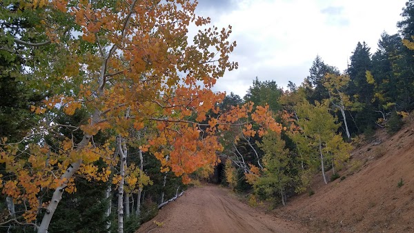 Upper Gold Camp Road 3