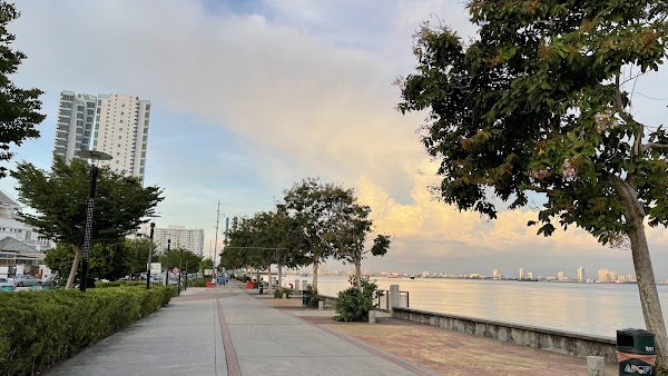 Karpal Singh Drive