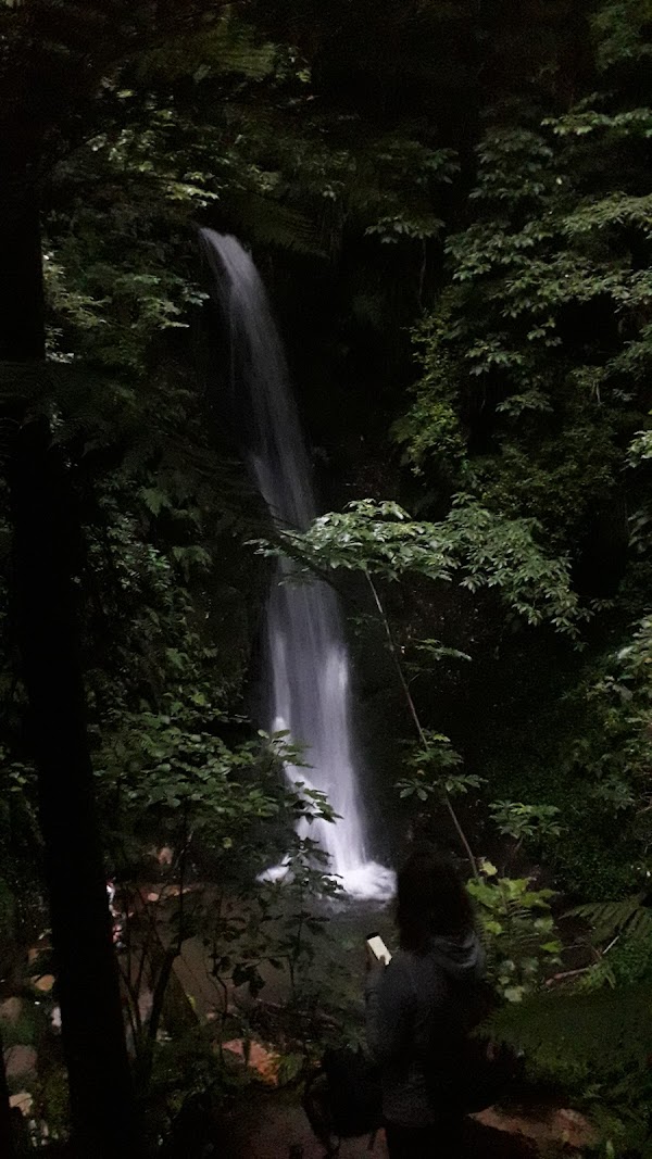 McLaren Falls Road 4