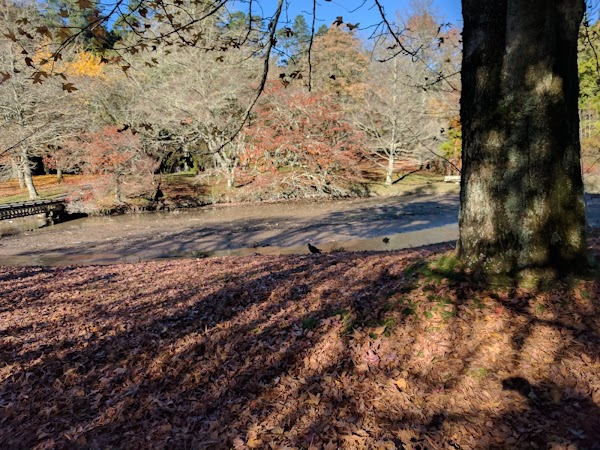 McLaren Falls Road 3