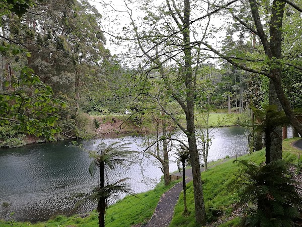 McLaren Falls Road 2