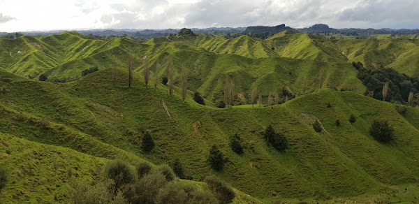 New Zealand State Highway 43