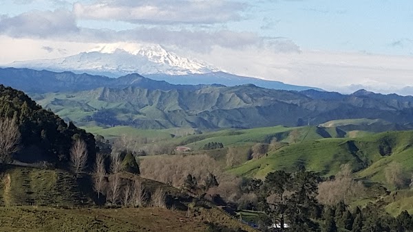 New Zealand State Highway 43 2