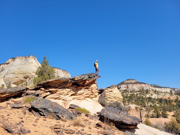 Zion – Mount Carmel Highway 5