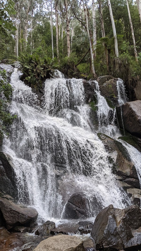Toorongo Falls Walk