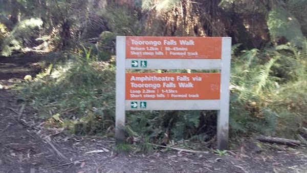 Toorongo Falls Walk 2
