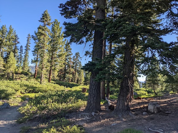 Tahoe Rim Trail