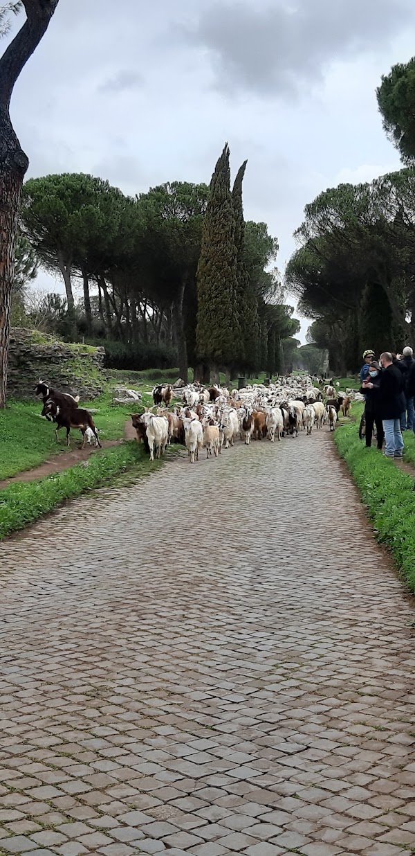 Via Appia Antica 3