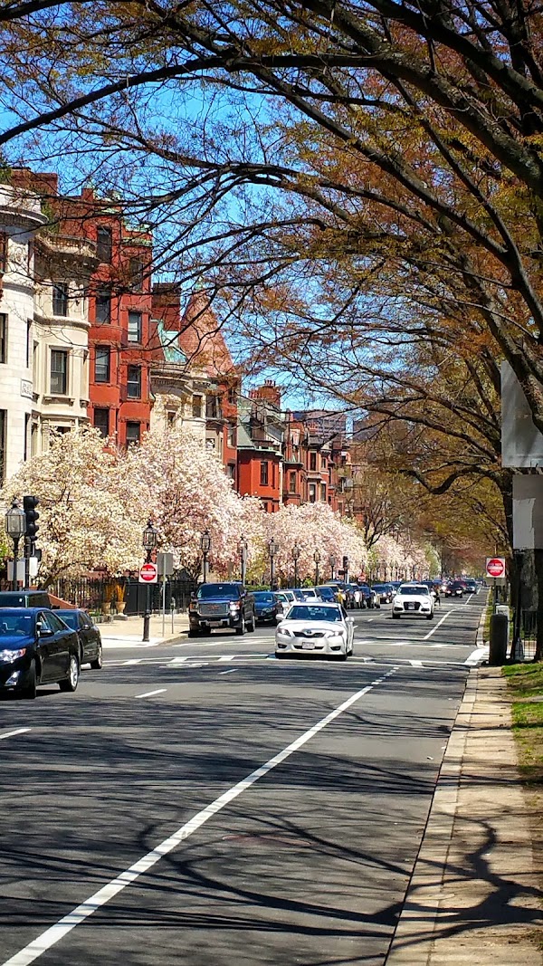 Commonwealth Avenue