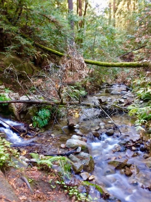 San francisco 2026 must visit