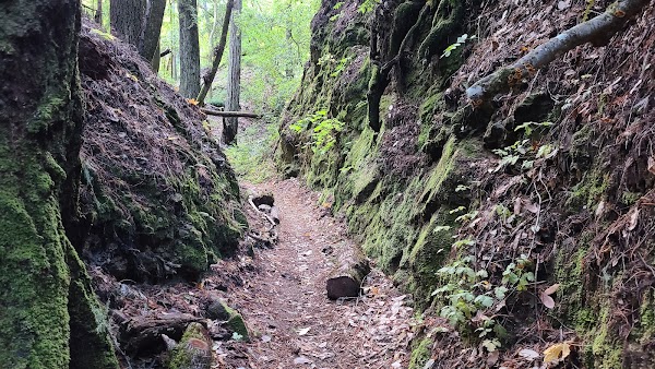 Fall Creek Trail 5