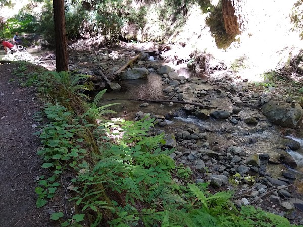 Fall Creek Trail 4