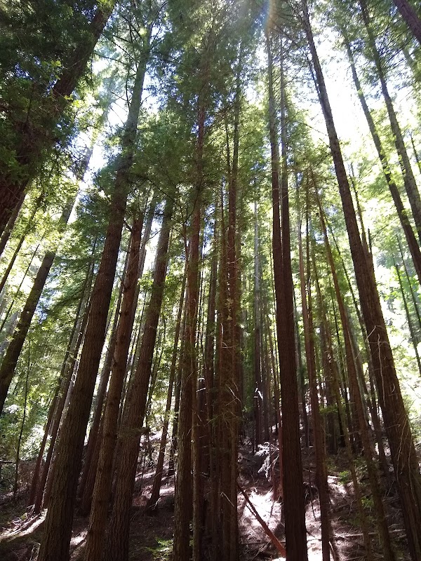 Fall Creek Trail 3