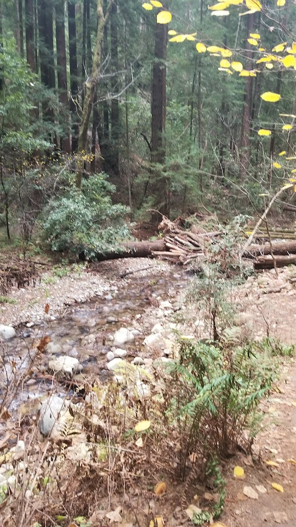 Fall Creek Trail 2