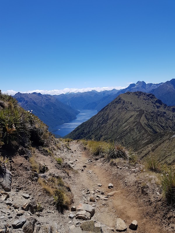Kepler Track 5