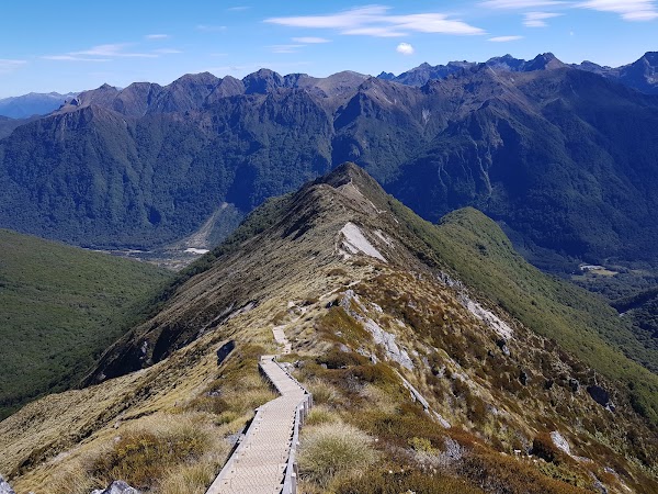 Kepler Track 4
