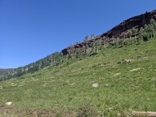 Piney Lake Road