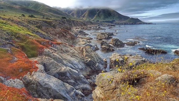 Coastline Drive