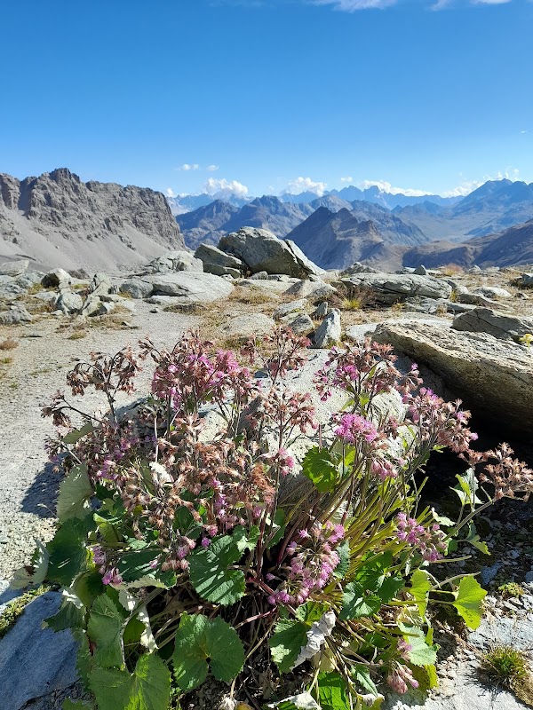 Julierpass 2
