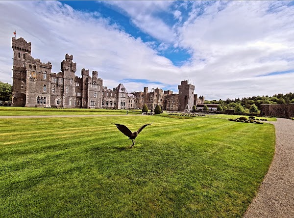 Ashford Castle Drive 1