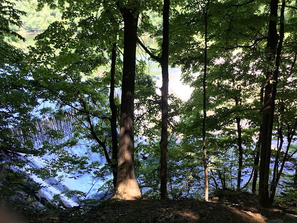 Columbia Trail 4