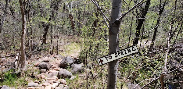 Fossil Creek Road 5