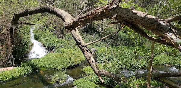 Fossil Creek Road 4