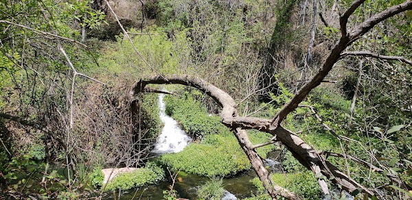 Fossil Creek Road 3