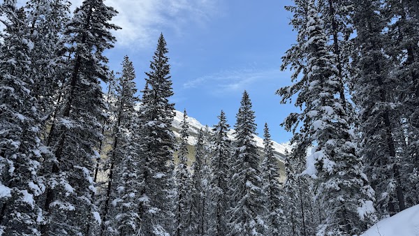 Spray River Trail
