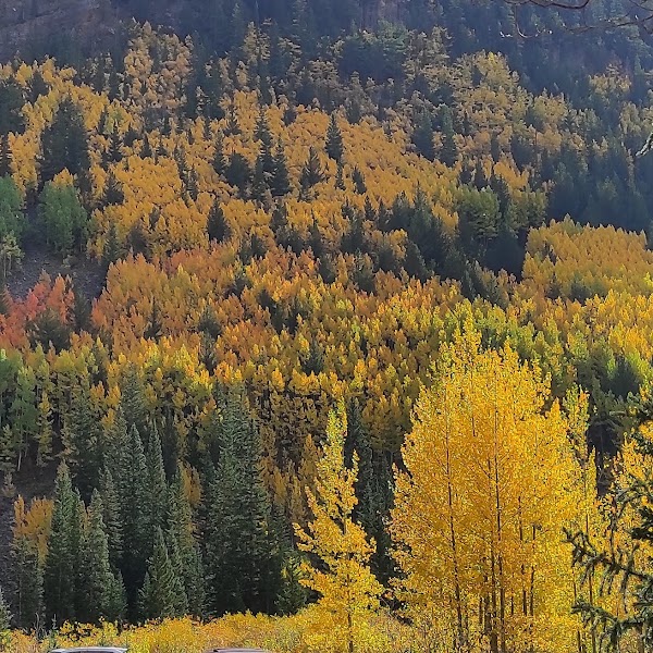 Guanella Pass Road