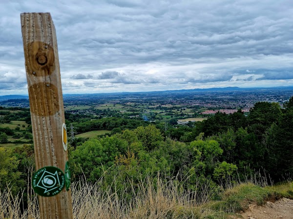 Leckhampton Hill 1