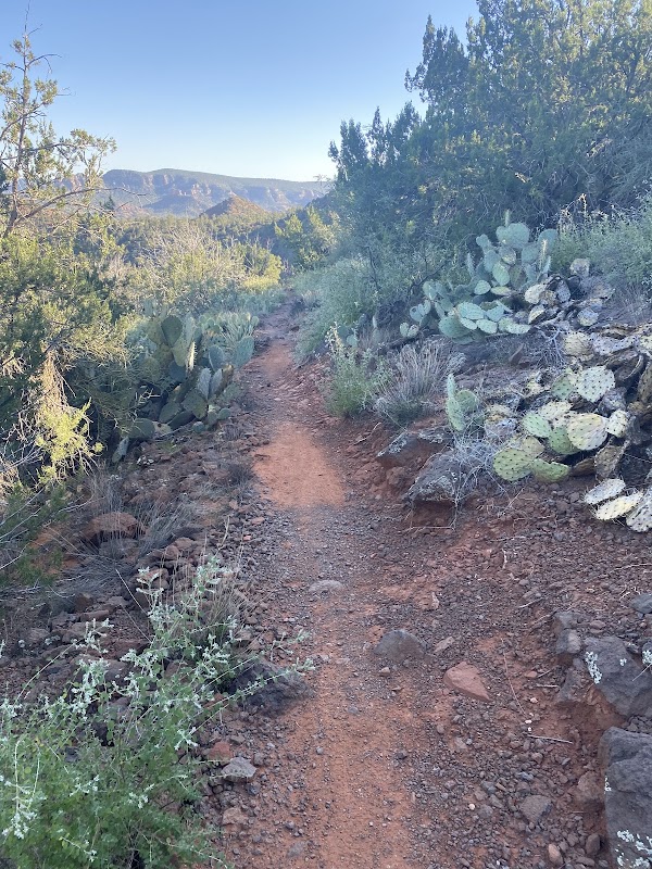 Scorpion Trail