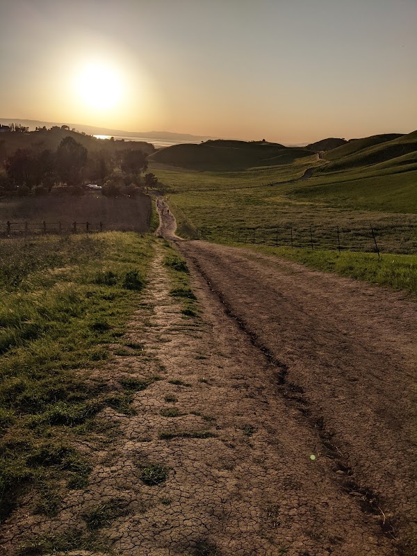 Agua Caliente Trail 4
