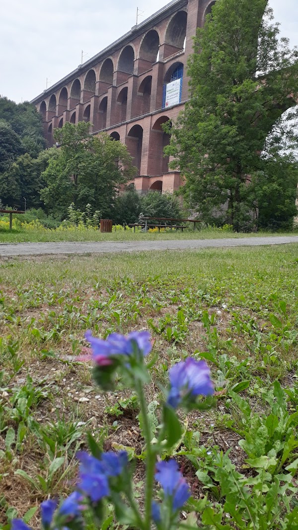 Göltzschtalbrücke 2