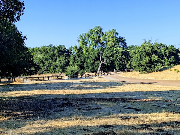 Lower Meadow Trail 3