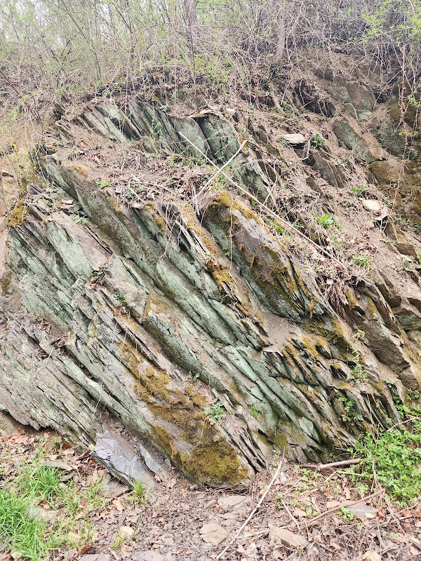 Blue Ridge Tunnel Trail 3