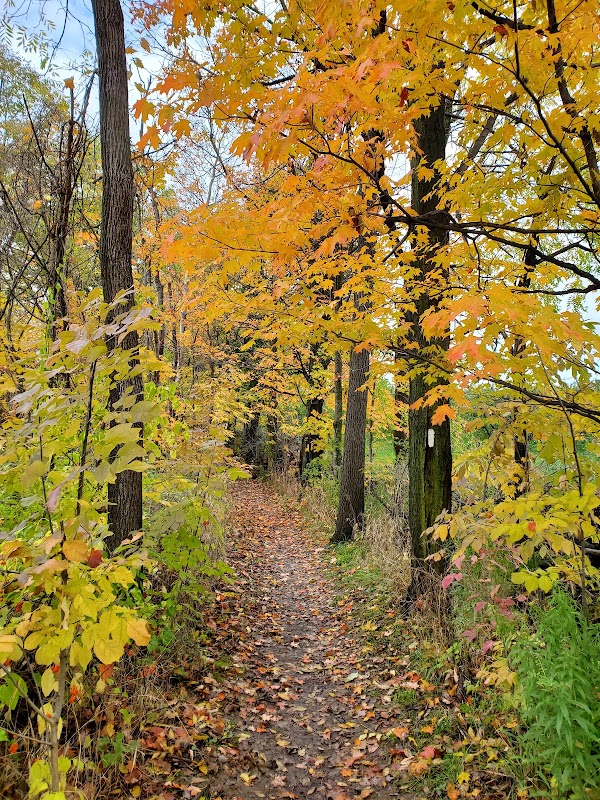 Bruce Trail 1