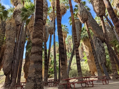 South Palm Canyon Drive 1