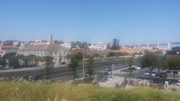 Avenida Brasília 4