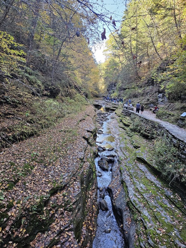Gorge Trail 4