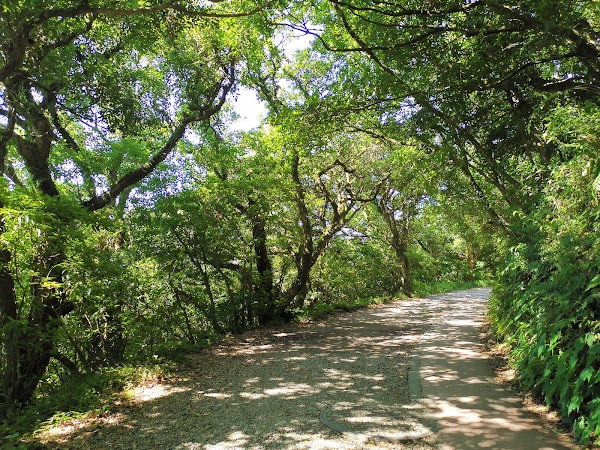 二子坪步道 1