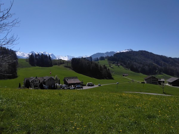Bürgenstock 4