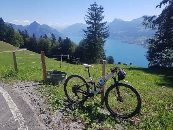 Bürgenstock 2