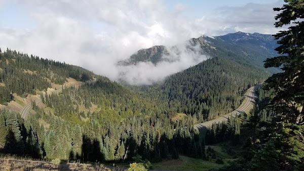 Hurricane Ridge Road 1