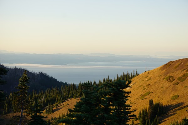 Hurricane Ridge Road 5