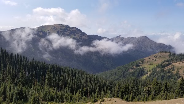 Hurricane Ridge Road 2